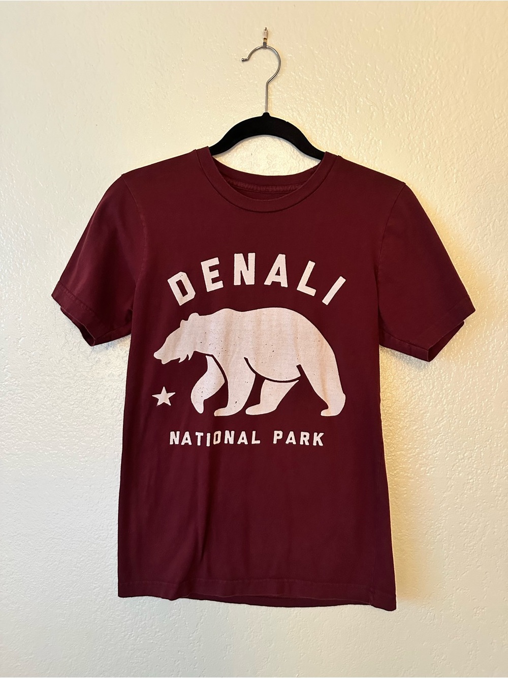 Parks Project Denali National Park Tee 100% Cotton Granola Outdoorsy